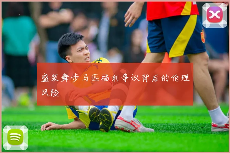盛装舞步马匹福利争议背后的伦理风险