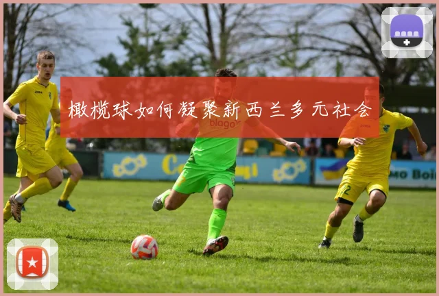 橄榄球如何凝聚新西兰多元社会